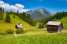 FerienhausÖsterreich - Tirol: Haus Bergwald TOP 3  [44] 