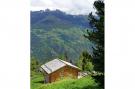 VakantiehuisZwitserland - Wallis/Valais: Chalet Perle des Collons