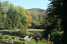 Holiday homeGermany - Black Forest: Altes Forsthaus  [15] 