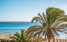 Holiday homeSpain - Balearic Islands: Palma  [15] 