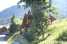 VakantiehuisFrankrijk - Noord Alpen: Chalet - Oz-en-Oisans  [1] 
