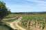 Holiday homeFrance - Languedoc-Roussillon: Chateau Henry  [35] 