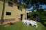 Holiday homeItaly - Emilia-Romagna: Casa Uva  [7] 