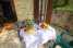 Holiday homeItaly - Umbria/Marche: Orzo  [30] 