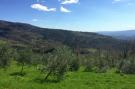 Holiday homeItaly - Tuscany/Elba: Belvedere Acacie
