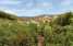 Holiday homeItaly - Tuscany/Elba: Casale 1  [16] 