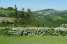 Holiday homeItaly - Emilia-Romagna: Il Gelso  [11] 