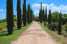 Holiday homeItaly - Umbria/Marche: Villa Fiorella Cinque  [25] 
