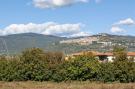 Holiday homeItaly - Tuscany/Elba: Mimosa