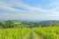 Holiday homeItaly - Umbria/Marche: Panorama Il Mare  [37] 