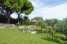 VakantiehuisItalië - Toscane/Elba: holiday home Villa del Pino, Massarosa-Villa del P  [3] 