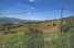 Holiday homeItaly - Umbria/Marche: Archi  [6] 