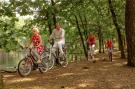 VakantiehuisNederland - Noord-Brabant: Bospark 't Wolfsven 8