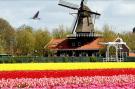 VakantiehuisNederland - Noord-Holland: Another Day in Paradise