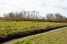 Holiday homeNetherlands - Noord-Holland: Recreatiepark Wiringherlant - Villa 15  [31] 
