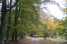 Holiday homeNetherlands - : Bungalowpark Hoenderloo 3  [25] 