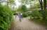 Holiday homeNetherlands - : Bungalowpark Hoenderloo 3  [9] 