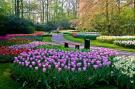 VakantiehuisNederland - Noord-Holland: Appartement Orange Tulips