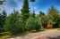 Holiday homePoland - West Pomeranian Voivodeship: Secluded holiday home  [24] 