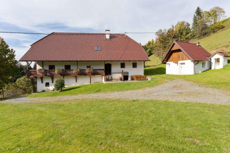 vakantiehuis Zois hütte in Eberstein
