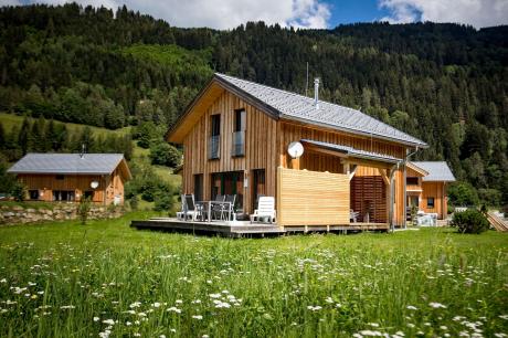 Holiday home Austria - Styria: 