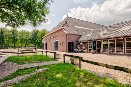Ferienhaus Niederlande - Groningen: 