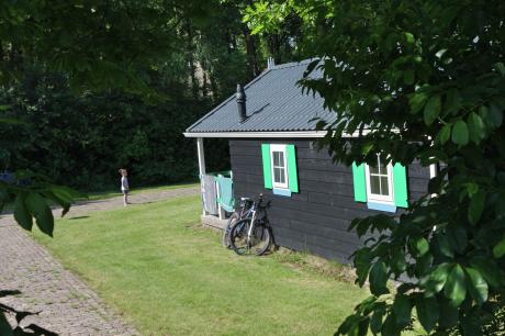Ferienhaus Niederlande - Overijssel: 
