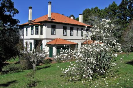 Quinta das Colmeias House - Santo Antonio da Serra, Santa Cruz